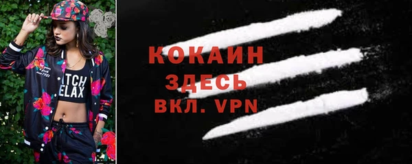 apvp Верея