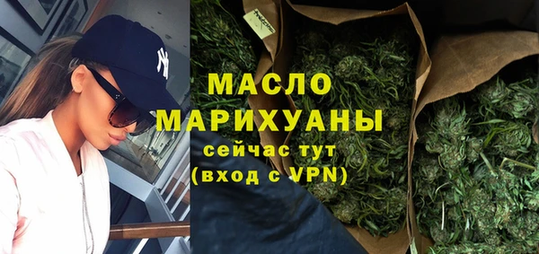 индика Верхний Тагил