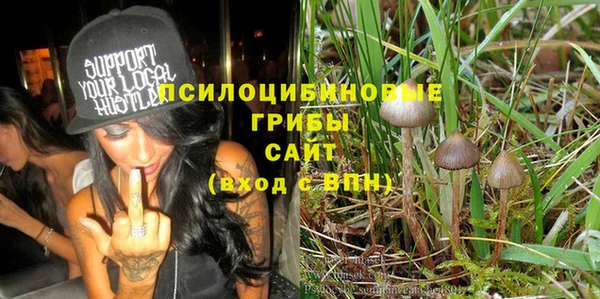 apvp Верея