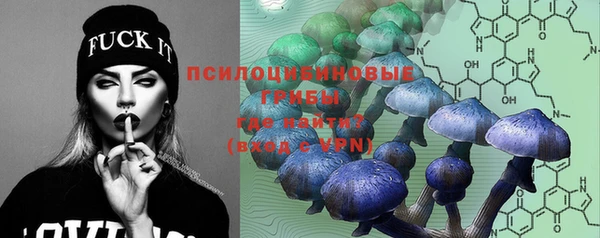 apvp Верея