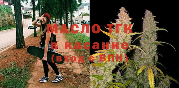 индика Верхний Тагил